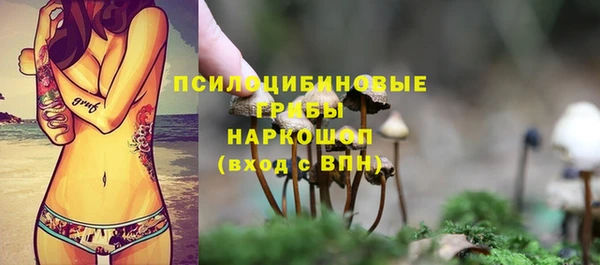 СК Пестово