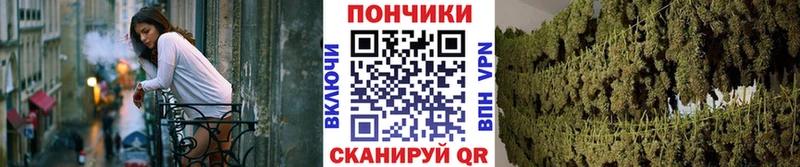 купить закладку  Новоульяновск  Конопля марихуана 